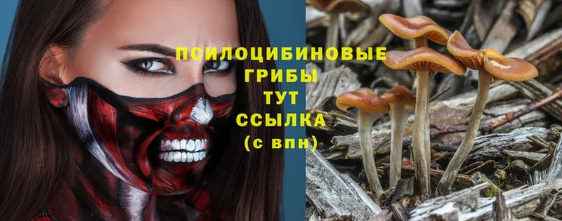 Галлюциногенные грибы MAGIC MUSHROOMS  купить  цена  Отрадная 